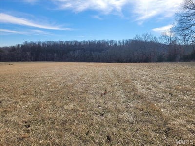 /international/us/200-big-creek-valley-drive-troy-mo-110097765585/