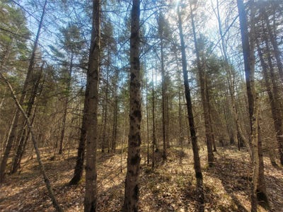 /international/us/on-broken-arrow-road-conrath-wi-110120587057/