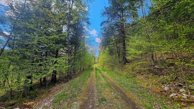 /international/us/linden-way-chester-vt-110108689748/