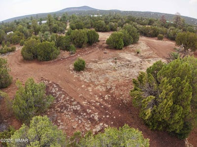 /international/us/531-vernon-county-road-vernon-az-110101070868/
