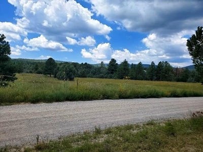 /international/us/10-young-road-tijeras-nm-110092762960/