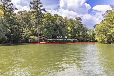 /international/us/2463-sturdivant-rd-jacksons-gap-al-110099605578/