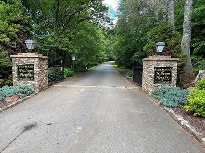 /international/us/lot-10-trillium-heights-brasstown-nc-110100073288/