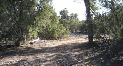 /international/us/3249-e-aspen-road-overgaard-az-110110349996/