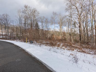/international/us/lot-21-hemlock-hills-rd-towanda-pa-110090761080/