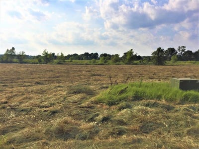 /international/us/mound-view-drive-lot-308-england-ar-110104534869/