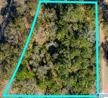 /international/us/6th-street-lot-14-hayden-al-110108573430/