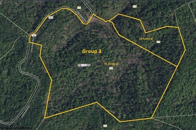 /international/us/parcel-22-little-rowels-run-road-creston-wv-110096546293/