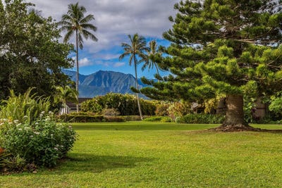/international/us/5280-ka-haku-rd-princeville-hi-110104602757/