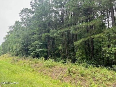 /international/us/00-loop-road-road-bunnlevel-nc-110100950203/?lang=zh-tw