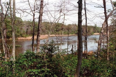 /international/us/steamboat-lane-lot-99-heathsville-va-110106730323/