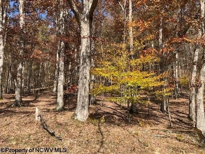 /international/us/holly-meadows-road-parsons-wv-110103052548/
