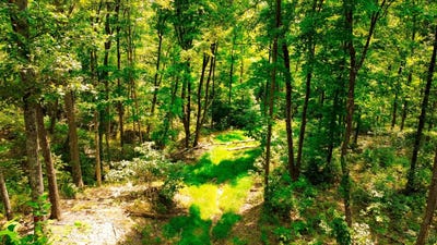 /international/us/0-windy-ridge-road-chillicothe-oh-110101401874/?lang=zh-cn
