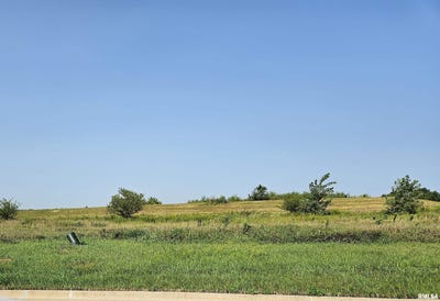/international/us/kyle-court-lot-83-metamora-il-110087090016/