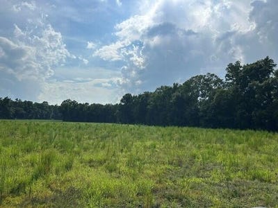 /international/us/7-mile-road-lot-1-harleyville-sc-110109702034/