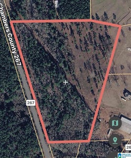 /international/us/county-road-267-lot-16-45-acres-lanett-al-110119969188/