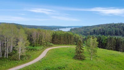 /international/us/lot-75-brisse-culotte-road-saint-agatha-me-110100947767/?lang=zh-tw