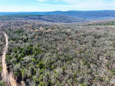 /international/us/liberty-hill-road-lot-wp001-natural-dam-ar-110104011135/