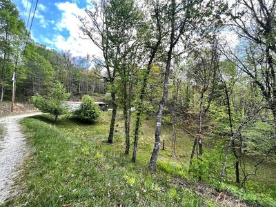 /international/us/254-joyces-mountain-nantahala-nc-110107619096/