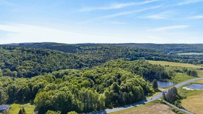 /international/us/l1-county-rd-16-otselic-ny-110104176172/