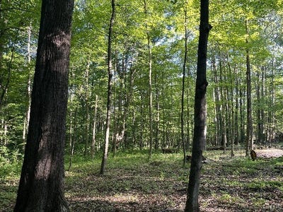 /international/us/conesus-sparta-townline-road-sparta-ny-110101521716/?lang=en