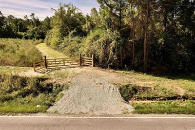 /international/us/14-81-acres-tbd-s-deerfield-rd-johnsonville-sc-110102734608/