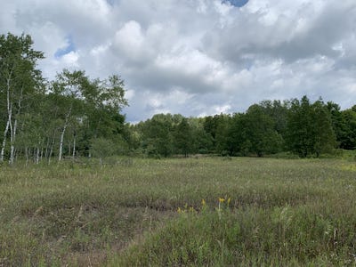 /international/us/old-mackinaw-trail-boyne-falls-mi-110085852140/?lang=zh-tw