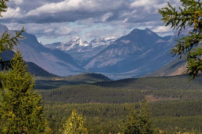 /international/us/6024-teakettle-road-columbia-falls-mt-110101363231/?lang=zh-cn