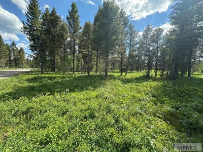 /international/us/4095-icehouse-creek-road-island-park-id-110100088161/?lang=zh-tw
