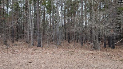 /international/us/retreat-way-lot-3-ridgeway-sc-110120106600/