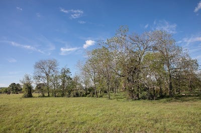 /international/us/tbd-trenckmann-road-sealy-tx-110106693557/