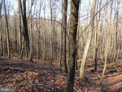 /international/us/14a-cedarwood-drive-road-mathias-wv-110101398194/?lang=zh-tw
