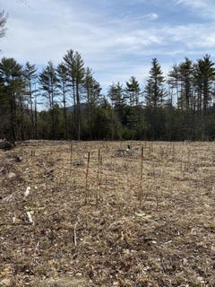 /international/us/530-fox-run-road-street-lewis-ny-110106849306/