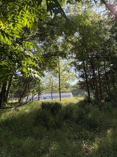 /international/us/178-griswold-street-hillsdale-mi-110105050324/