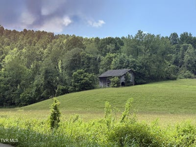 /international/us/000-long-hollow-road-nickelsville-va-110101530148/