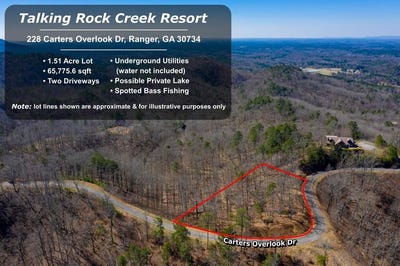 /international/us/278-carters-overlook-drive-ranger-ga-110100919624/?lang=zh-cn