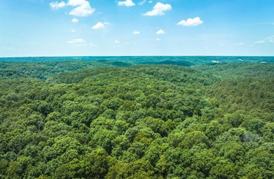 /international/us/tbd-hwy-k-pineville-mo-110085079587/?lang=en