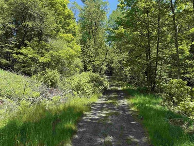 /international/us/169-sherman-street-fairfield-vt-110108570711/
