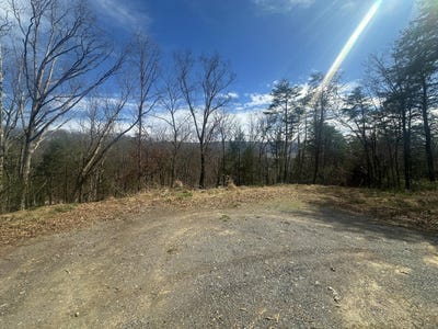 /international/us/mill-street-lot-8-peterstown-wv-110106736969/