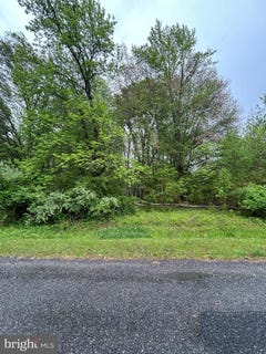 /international/us/kinglet-road-chestertown-md-110099868285/