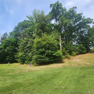 /international/us/2940-leatherleaf-dr-toano-va-110108781462/