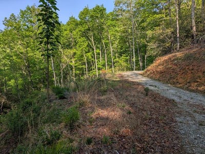 /international/us/cherokee-mine-rd-franklin-nc-110101429870/?lang=zh-tw