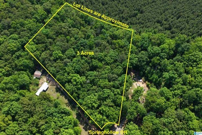 /international/us/0009-springhollow-road-lot-9-ashville-al-110073250860/