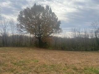 /international/us/601-e-3rd-street-mountain-view-mo-110103510127/