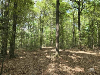 /international/us/1131-wolf-log-road-flomaton-al-110095776199/