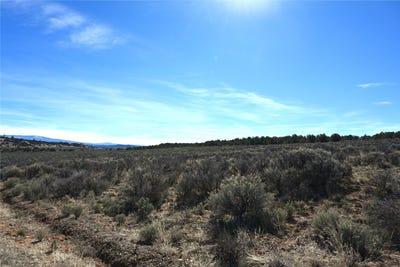/international/us/pajarito-tierra-amarilla-nm-110106532537/