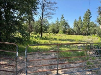 /international/us/503-old-mchaus-road-private-road-other-ga-110100419755/