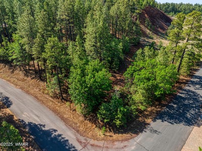 /international/us/6281-bent-oak-drive-pinetop-az-110100879738/