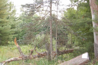 /international/us/lot-9-dorothy-drive-prescott-mi-110101372443/?lang=zh-tw