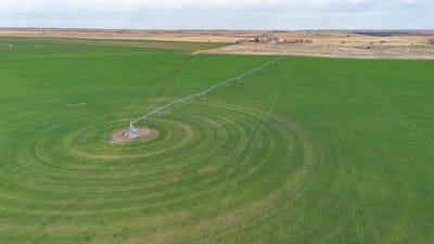 /international/us/dodd-farm-651-6ac-nw-briscoe-mobeetie-tx-110107050139/